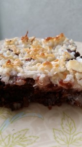 Coconut Macaroon Brownie